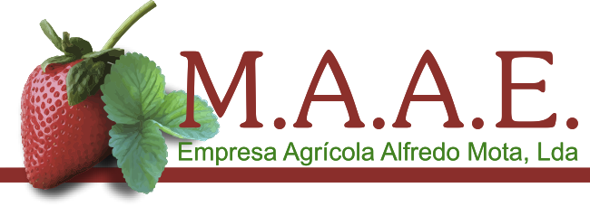 M.A.A.E. Logotipo